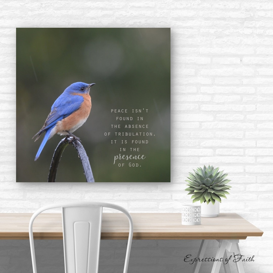 Bluebird With Scripture Presence of God Bluebird Wall Art Decor, Scripture Photography Bluebird ...