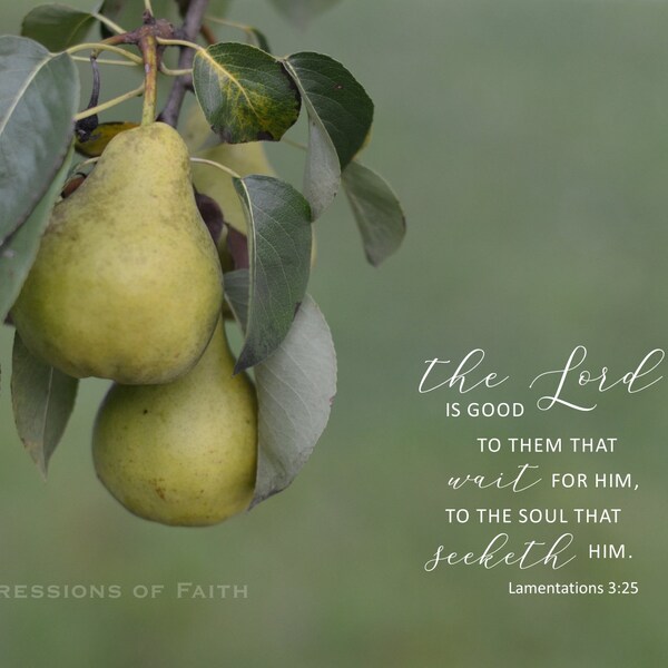 Outdoor Scripture Plaque Etsy