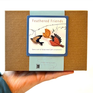 DIY Feathered Friends Bird Sewing Kit with free shipping, Set of 3 Felt Bird Ornaments, Bird Christmas Ornament DIY Box