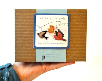 Feathered Friends Bird Sewing Kit, Set of 3 Felt Bird Ornaments, Bird Christmas Ornament DIY Box