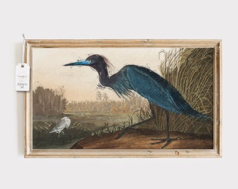 Frame TV Instant Download Vintage Bird Art Painting Blue Heron Crane Art for Frame TV Bird Scene Art for Frame TV Tropical Art Samsung