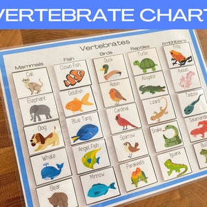 CLASSIFICATIE van GEWELDIGE DIEREN, kaarten en kaart gewervelde dieren, leren over dieren, afdrukbare educatieve activiteit, thuisonderwijs