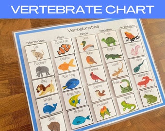 CLASSIFICATION of ANIMALS VERTEBRATES, Vertebrate Cards and Chart, Learning About Animals, Educational Printable Activity, Homeschool