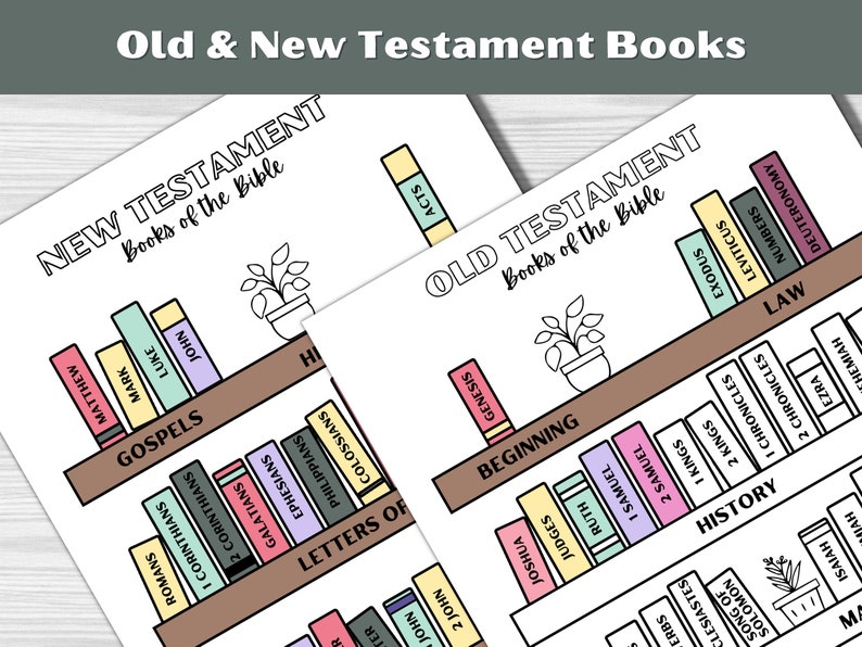BOOKS of the BIBLE PRINTABLE Books of the Bible Coloring - Etsy