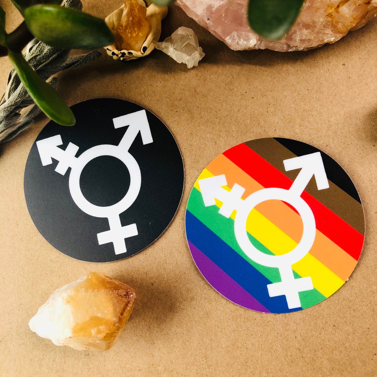 Transer Sensor Sticker Trans Symbol Sticker - Etsy