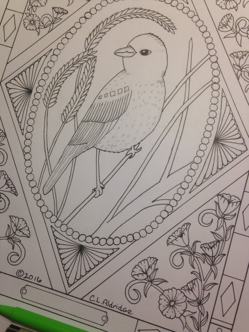 The Songbird Series Coloring Pages Painted Bunting Etsy