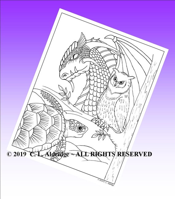 Creatures Of Age Wisdom Dragon Owl Sea Turtle Coloring Etsy
