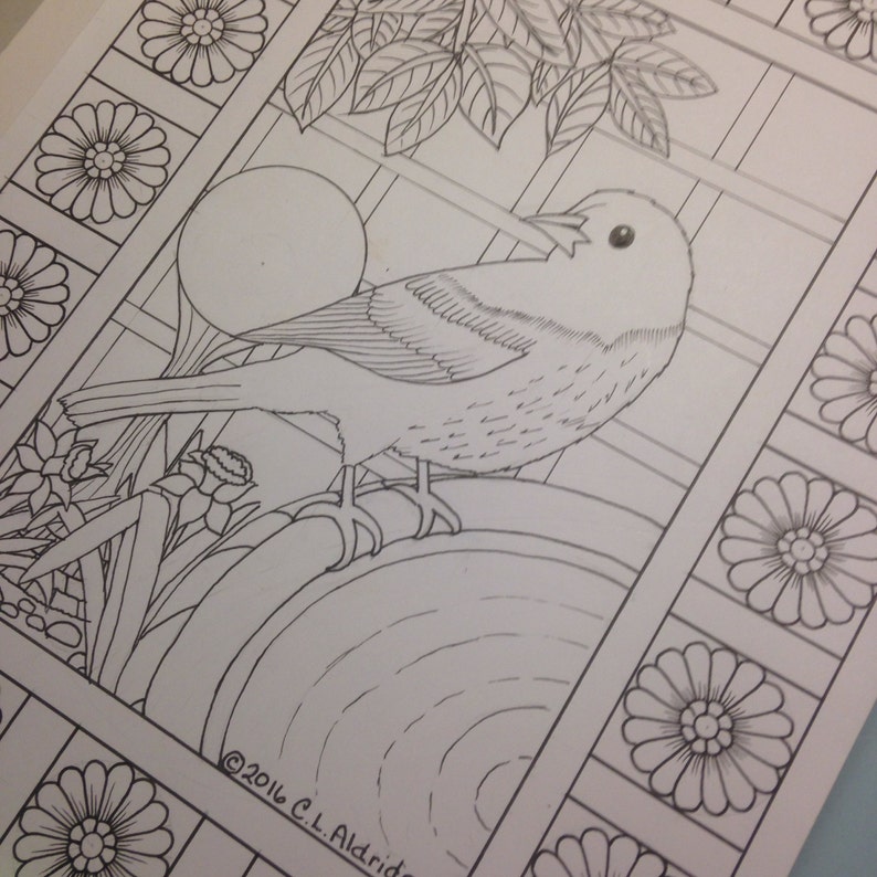 The Songbird Series Coloring Pages Painted Bunting Etsy