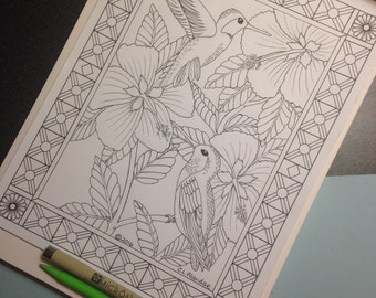 Hummingbirds in Hibiscus  - Coloring Page
