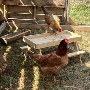 Chicken Picnic Table, Chicken Coop Accessories, Chicken Lover Gift, Chicken Feeder, Chicken Feeder Table, Outdoor Pet Feeder, Small Picnic