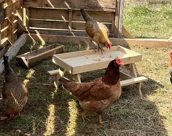 Chicken Picnic Table, Chicken Coop Accessories, Chicken Lover Gift, Chicken Feeder, Chicken Feeder Table, Outdoor Pet Feeder, Small Picnic