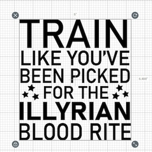 Puede incluir: Diseño gráfico de texto en blanco y negro con las palabras "Train like you've been picked for the Illyrian Blood Rite".