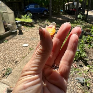 May include: A small, translucent, orange-coloured object with a textured, semi-circular shape. The item appears to be a piece of resin or a similar material, held between two fingers, displaying a bright, warm hue and a slightly irregular surface.