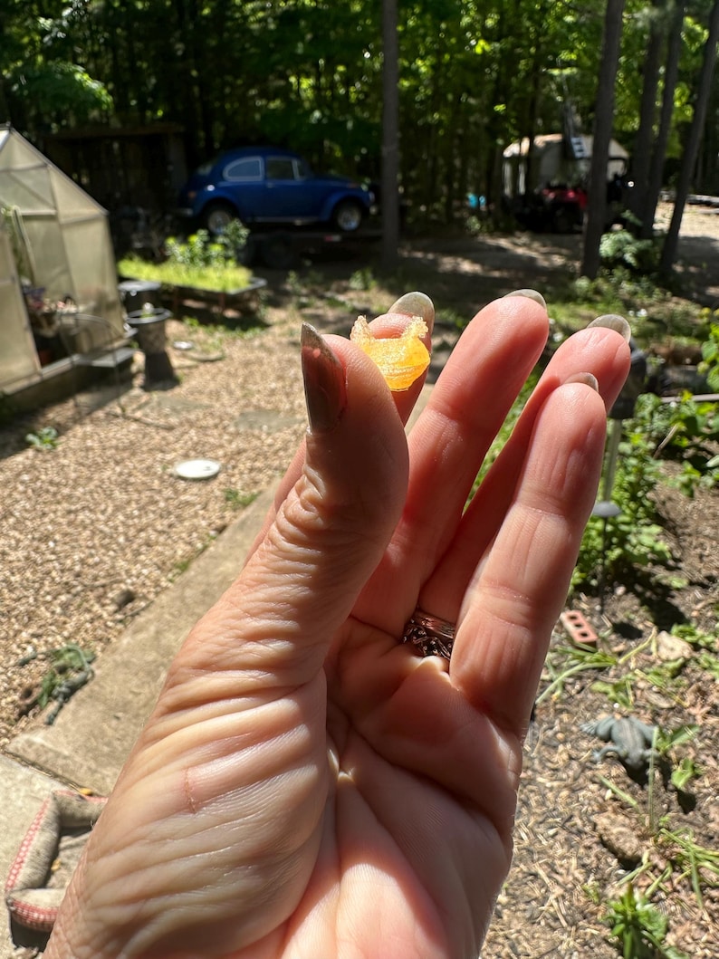 May include: A small, translucent, orange-coloured object with a textured, semi-circular shape. The item appears to be a piece of resin or a similar material, held between two fingers, displaying a bright, warm hue and a slightly irregular surface.