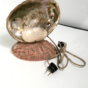 Pode incluir: Lâmpada de concha de abalone com interior perolado e base marrom avermelhado. Uma concha menor repousa no topo, e um cabo de alimentação com um plugue preto é visível. A lâmpada foi projetada para ficar em uma superfície plana.