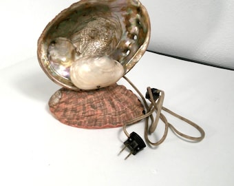 Lampada da notte con conchiglia di perle di abalone MCM degli anni '30, lampada da tavolo per TV funzionante in spiaggia, Morethebuckles