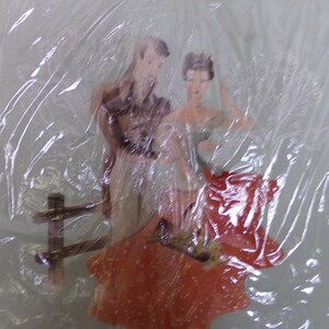 May include: A framed image of a couple standing together. The man is wearing a brown shirt and the woman is wearing a red dress. The image is covered in plastic wrap.