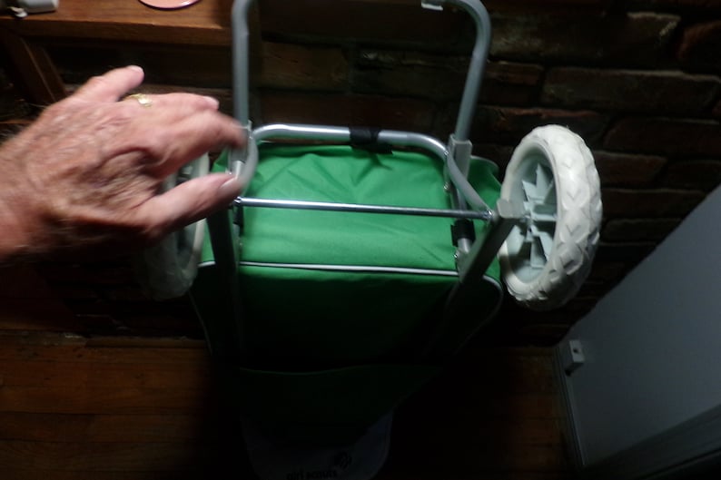 May include: A green folding wagon with a silver frame and two white wheels. The wagon is folded and has a handle.