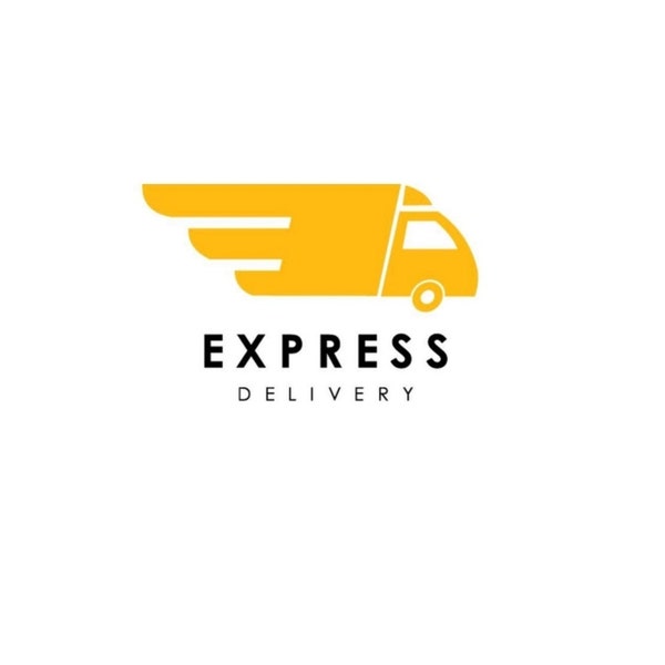 FedEx -TNT Express Shipping  to Singapore Delivery Upgrade