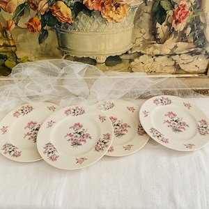 Vintage Aberdeen Porcelain Luncheon Plates Set of 4 Mid Century Moss Rose