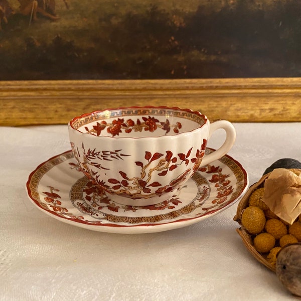 Elegant Vintage Spode Indian Tree  Porcelain Teacup & Matching Saucer