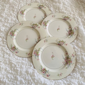 Elegant Set of 4  Theodore Haviland French Limoge Porcelain Dinner Plates Apple Blossom