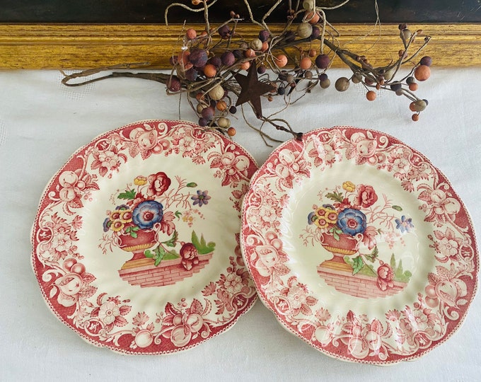 Vintage 1930s Royal Doulton Porcelain Pomeroy Dinner Plates Set of 2 Etsy