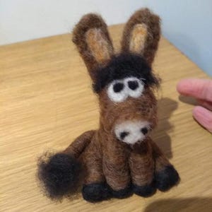 Les petits ânes bruns aussi ont besoin d&#39;amour !