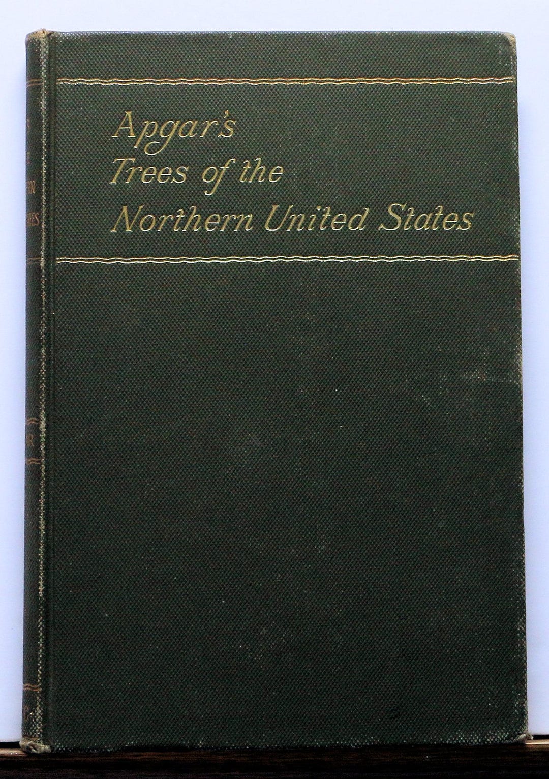 Trees of the Northern United States AUSTIN C. APGAR 1892 - Etsy