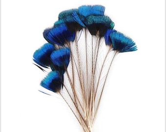 10 pcs peacock tail feathers blue tip peacock feather 2-3inch