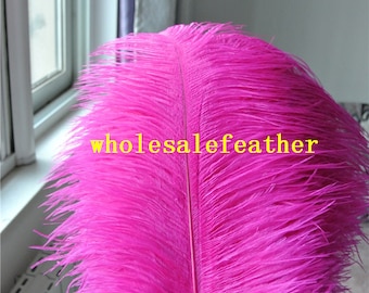 100 Pcs hot pink irridescent coque feathers