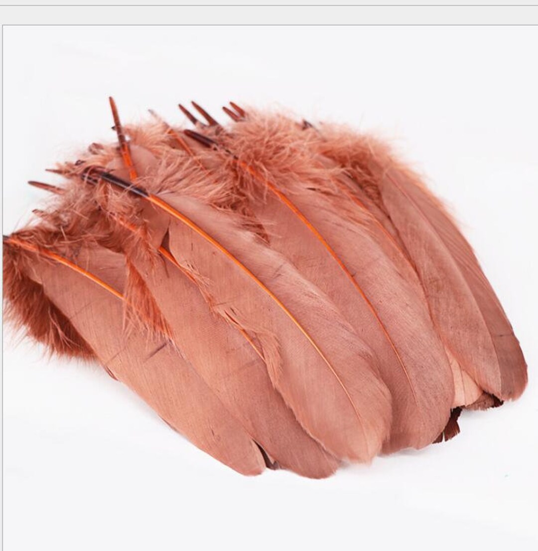 100 Pcs BULK Brown Goose Feathers 5-8 Wholesale Quill Satinettes