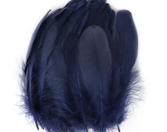 Loose best sale ostrich feathers