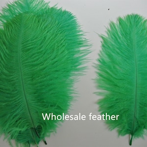 100 pcs kelly green ostrich feather plumes for wedding centerpieces wedding decor party event supplies