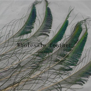 50 pcs 13-15inch peacock swords feather peacock feather for decor