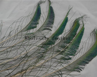 50 pcs 13-15inch peacock swords feather peacock feather for decor