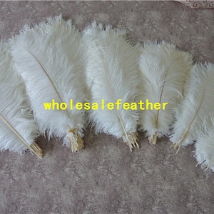 100 pcs white ostrich feather plumes for wedding centerpieces wedding decor party event supplies