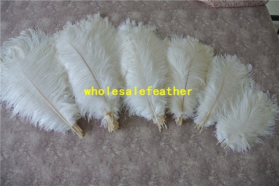 100pc, Ostrich Feathers 12-14, Natural off White, for Centerpieces, Table  Decorations, Floral, Costume, Wholesale, Bulk, 100 Pack 