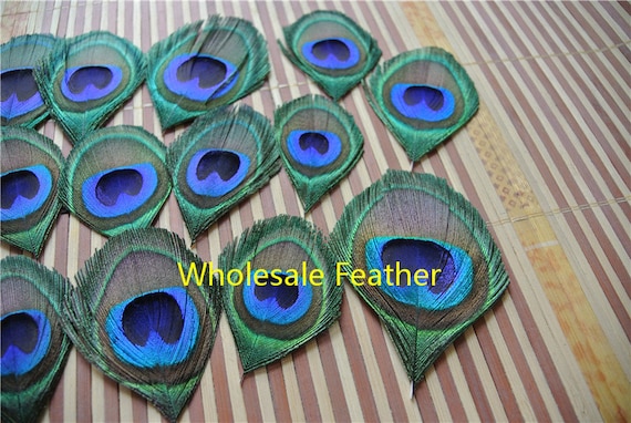 Turkey feathers 50 pcs 25-30cm/10-12inch three Colors blue green DIY  carnival