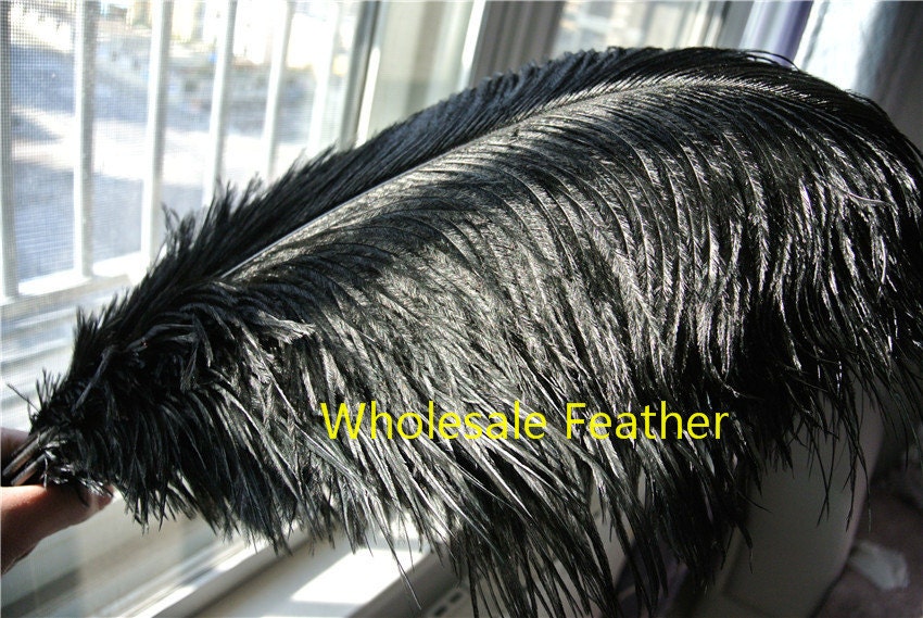 Black Ostrich Feathers Bulk - 20Pcs Making Kit 22 Inch Natural Ostrich  Feathers