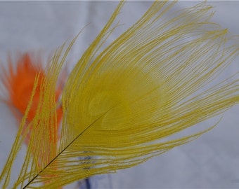 50 pcs yellow peacock feather for crafts hat decor Peacock Tail Eye Feathers for costumes decor