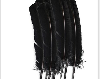 May include: A bunch of black crow feathers, with the tips of the feathers trimmed.