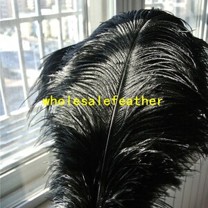 100 pcs black ostrich feather plumes for wedding centerpieces wedding decor party event supply image 5