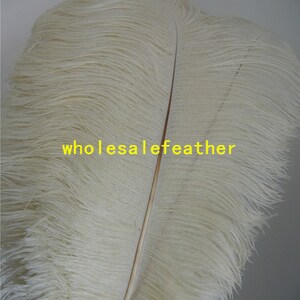 100 pcs Ivory ostrich feather plumes for wedding centerpieces wedding decor party supply prom supply image 3