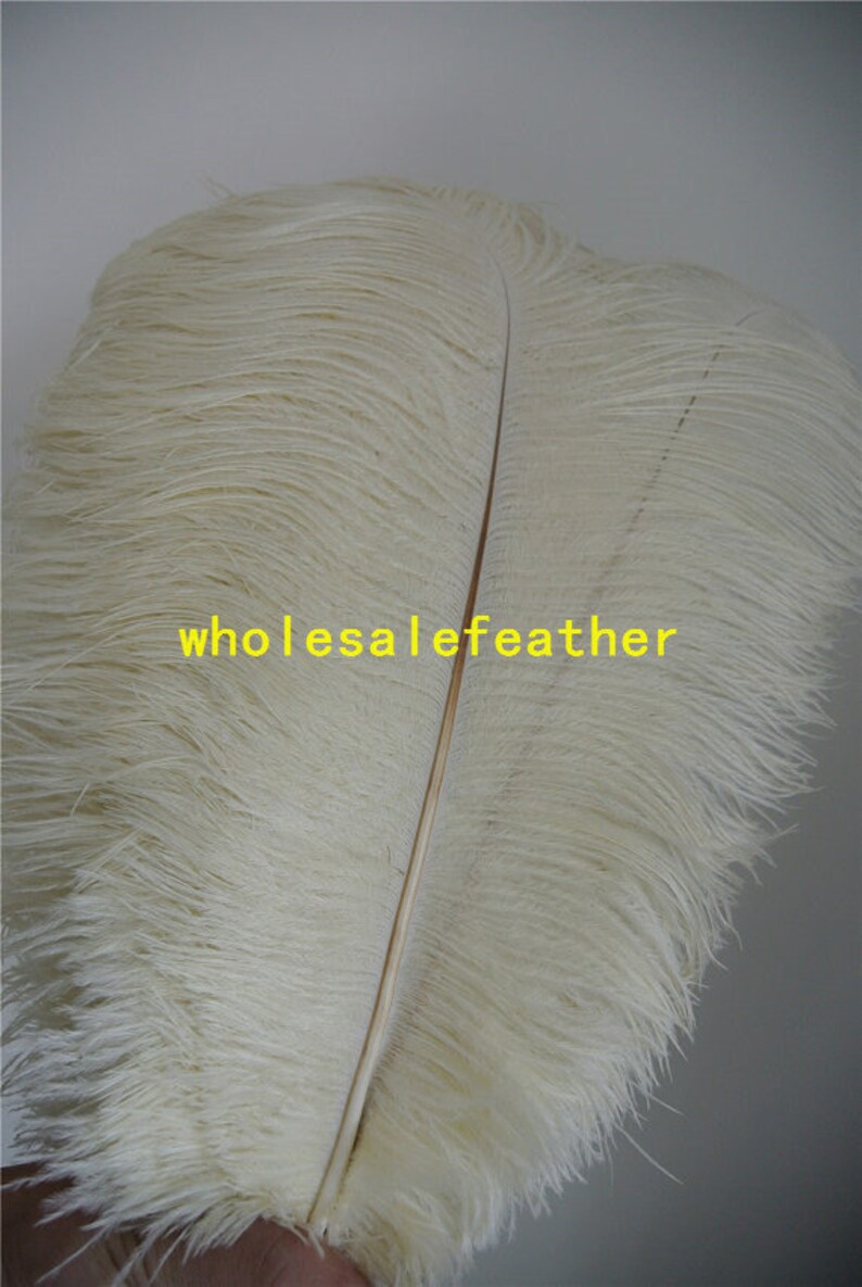 100 pcs Ivory ostrich feather plumes for wedding centerpieces wedding decor party supply prom supply image 3