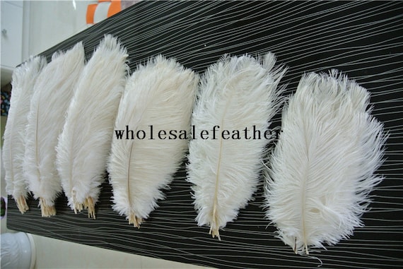 HAPPY FEATHER 16-18 inch White Ostrich Feathers Craft for Wedding Party  Centerpieces Home Decoration DIY Craft Pack of 10