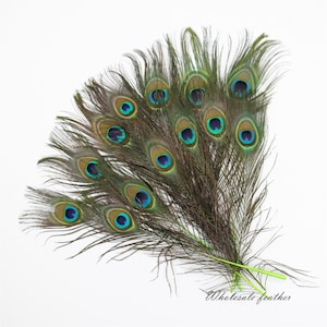 100 pcs yellow black orange purple royal blue turquoise red hot pink Lime green peacock feather for crafts hat decor supply