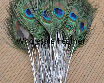 100 Stück getrimmte Pfauenfeder getrimmt Pfau Auge Feder 8-25 cm Länge für Handwerk Kostüme