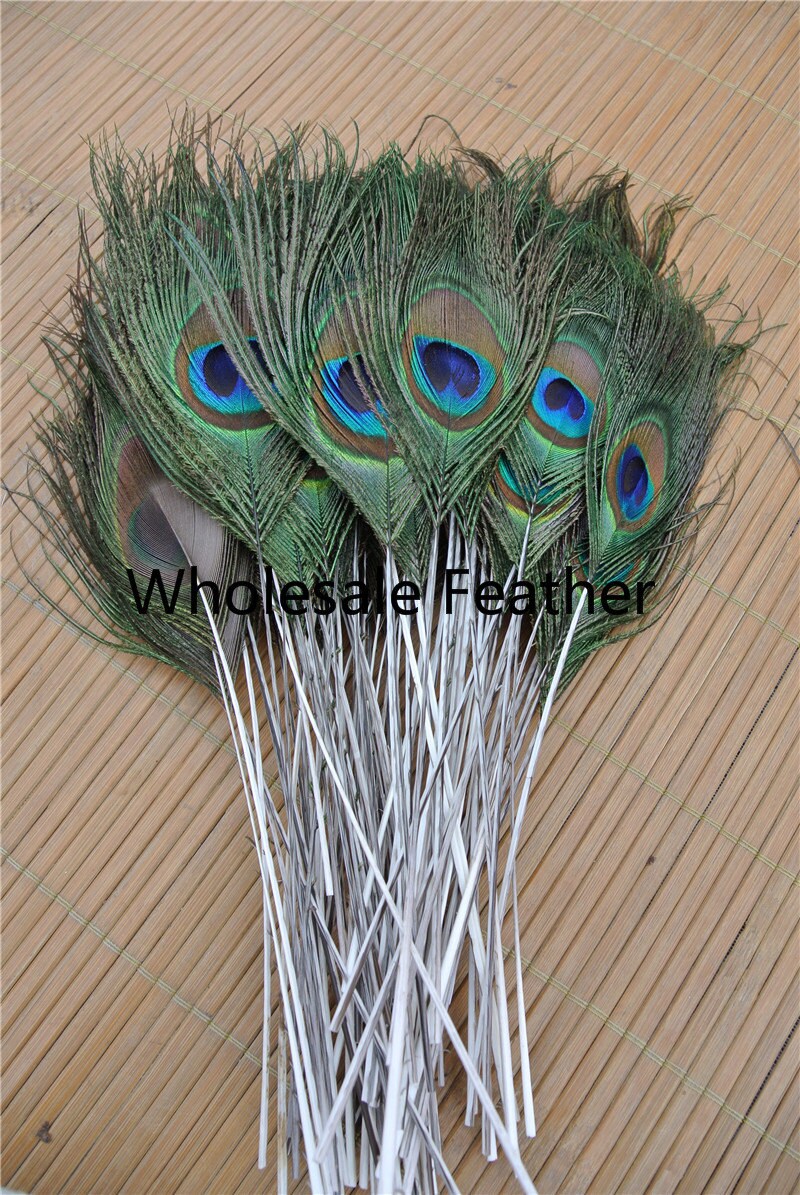 100 pcs trimmed peacock feather trimmed peacock eye feather Etsy
