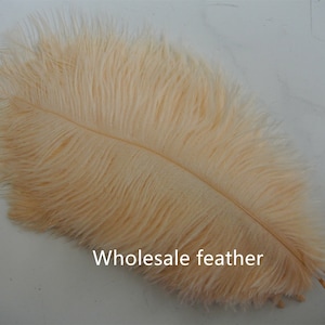 50 pcs champagne plume d’autruche plume pour mariage pièce maîtresse mariage décor événement de fête fournitures décor décor
